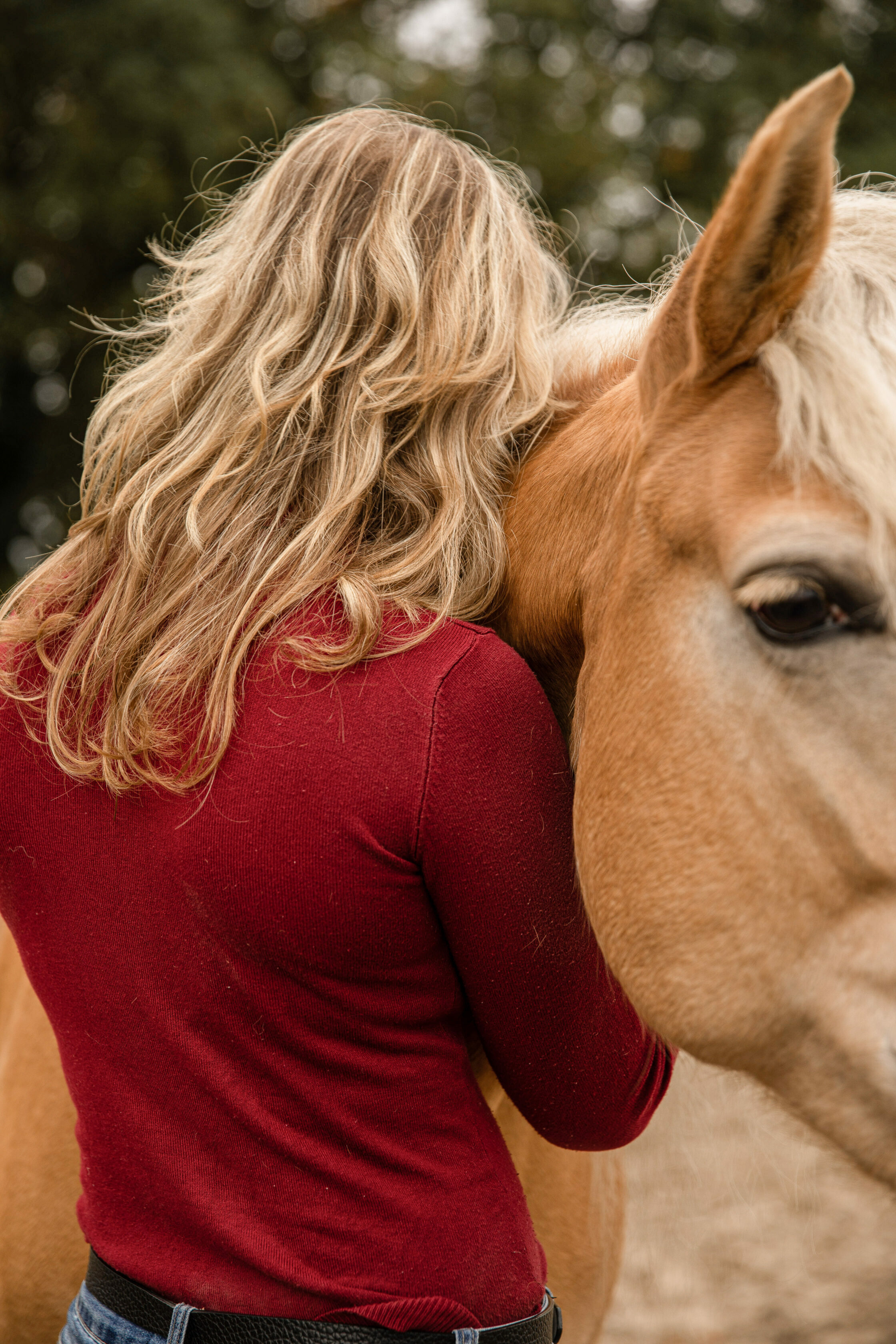 Stress- en burnout coaching met ondersteuning van paarden